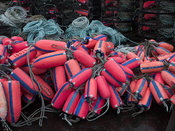 Fishing Art Print featuring the photograph Pile of Pink and Blue Buoys by Carol Leigh