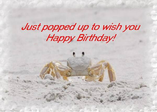 Birthday Art Print featuring the photograph Popped in to Wish You Happy Birthday by Judy Hall-Folde