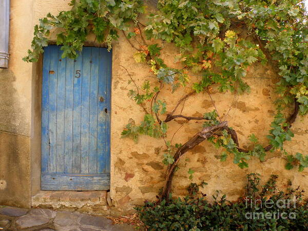 Door Art Print featuring the photograph Provence Door 5 by Lainie Wrightson