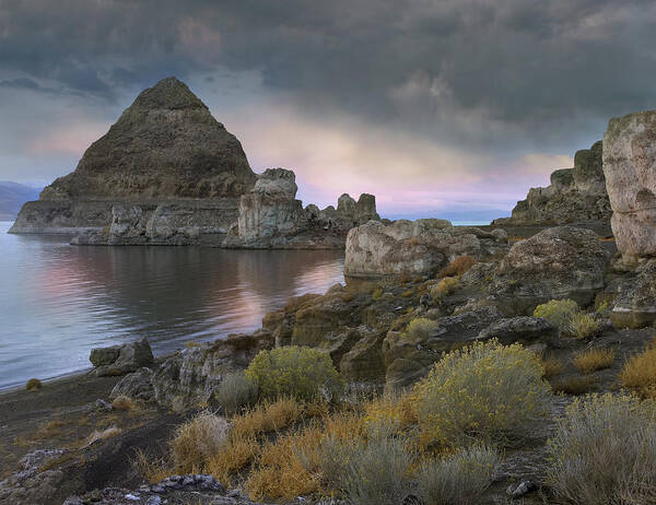 00176825 Art Print featuring the photograph Pyramid Lake Nevada by Tim Fitzharris