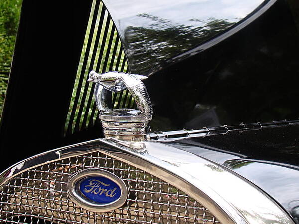Ford Art Print featuring the photograph Quail Radiator Cap- Ford by Nick Kloepping