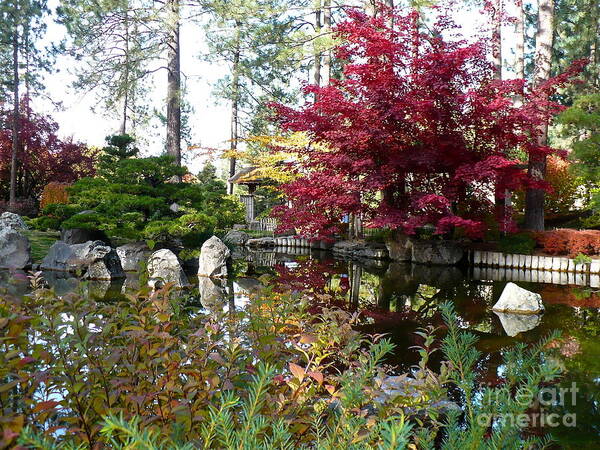 Autumn Art Print featuring the photograph Quiet Autumn Pond by Carol Groenen