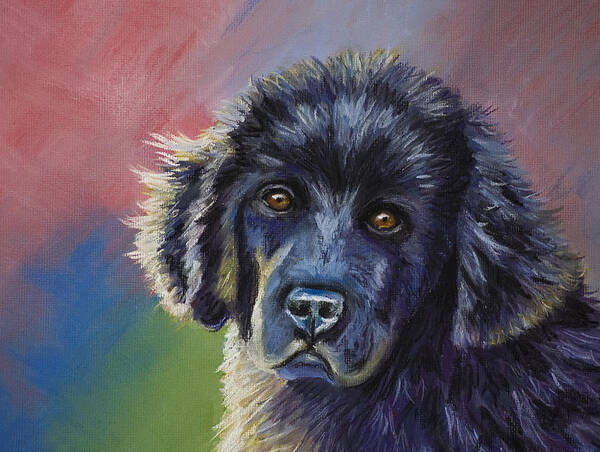 Newfoundland Art Print featuring the drawing Rainbows and Sunshine - Newfoundland Puppy by Michelle Wrighton