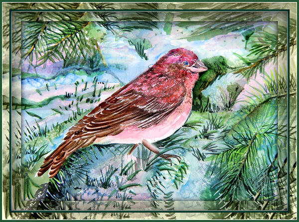 Original Watercolor Art Print featuring the painting Red Finch by Mindy Newman