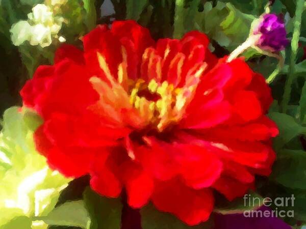  Art Print featuring the digital art Red Zinnia by Denise Dempsey Kane