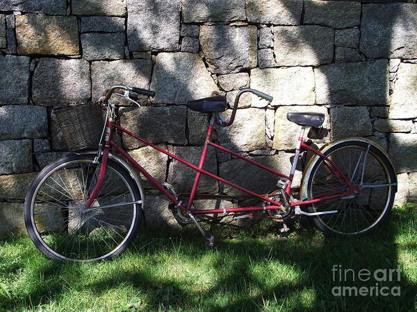 Bicycle Built For Two Art Print featuring the photograph Retired Ride by Michelle Welles