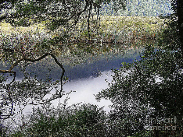 Reflections Art Print featuring the photograph River Reflections by Louise Peardon