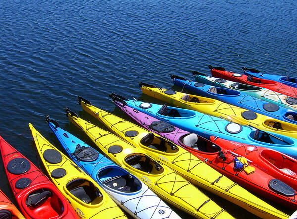Kayaks Art Print featuring the photograph Rockport Kayaks by Don Margulis
