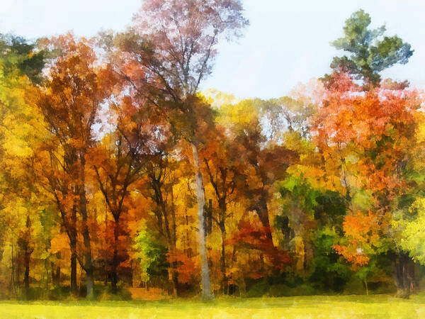 Autumn Art Print featuring the photograph Row of Autumn Trees by Susan Savad
