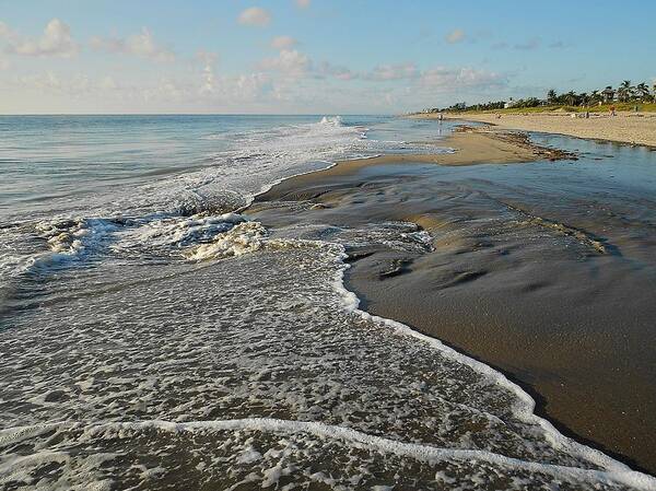 Nature Art Print featuring the photograph Shifting Sands by Sheila Silverstein