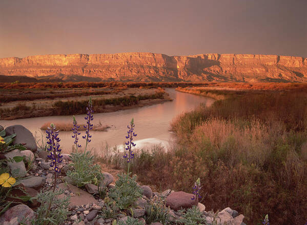 00174091 Art Print featuring the photograph Sierra Ponce And Rio Grande Big Bend by Tim Fitzharris