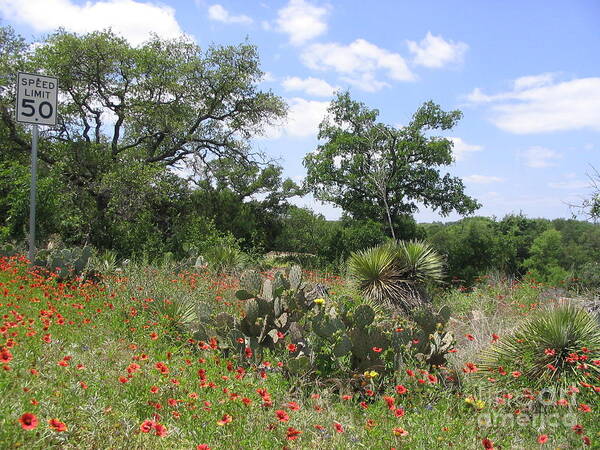 Texas Art Print featuring the photograph Slow Mo by Mark Robbins