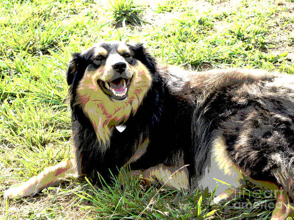 Dog Photograph Art Print featuring the photograph Smile for a Sunny Day by Ann Powell