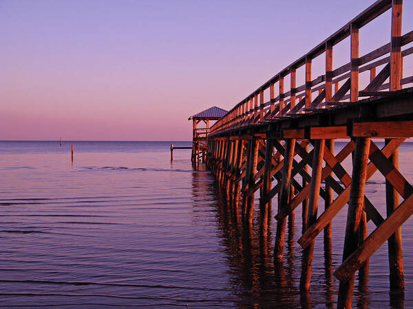 Mississippi Art Print featuring the photograph Solitude by Brian Wright