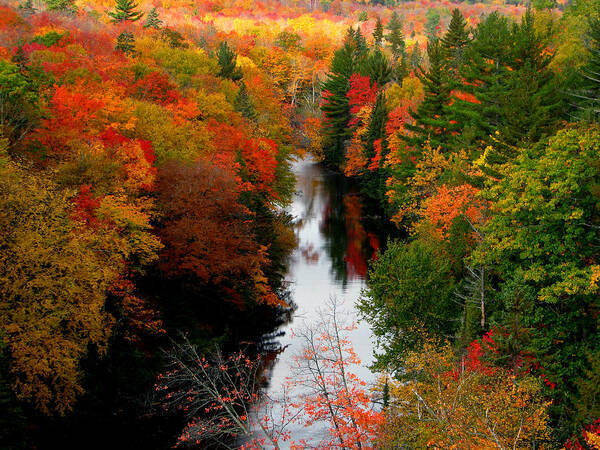 Fall Art Print featuring the photograph Stolen Fall by Mike Hainstock