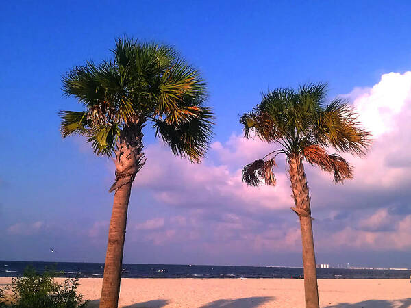 Palms Art Print featuring the photograph Strong friends facing it all together by Brian Wright