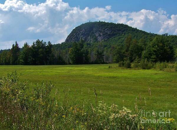 Adirondacks Art Print featuring the photograph Summer Fields 3 by Peggy Miller