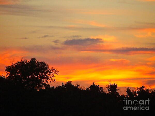 Sunset Art Print featuring the photograph Sunset Sky by Stacy La Salle