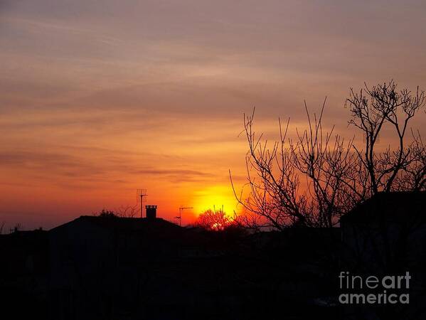 Sunset Art Print featuring the photograph Sunset by Sylvie Leandre