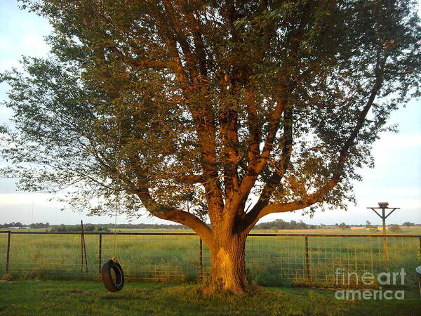 Tree Art Print featuring the photograph Sunset Tire Swing by Sheri Simmons