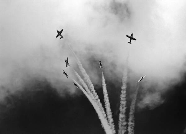 Freedom Of The Sky Art Print featuring the photograph The Freedom Of The Sky by Nick Mares