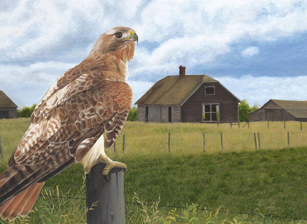 Red Tailed Hawk Over Looking Old Homestead Art Print featuring the painting The Grounds Keeper by Tammy Taylor
