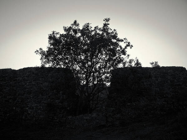 Jouko Lehto Art Print featuring the photograph The Ruins of the Castle of Ali Pasha in bw by Jouko Lehto