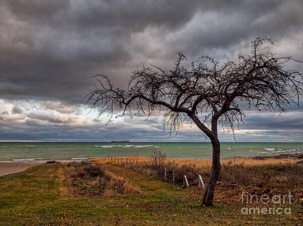 Lake Huron Art Print featuring the photograph The Watcher by Terry Doyle