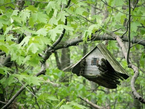 Woods Art Print featuring the photograph Tree House by Peggy King