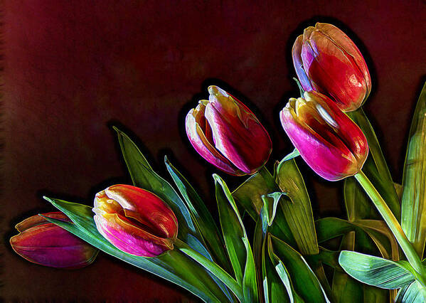 Flower Art Print featuring the photograph Tulip Traced Incandescence by Bill and Linda Tiepelman