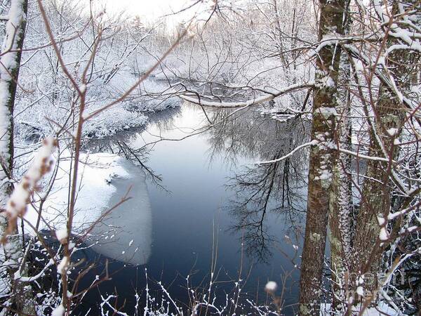 Landscape Art Print featuring the photograph Winter Reflection XIII by Lili Feinstein