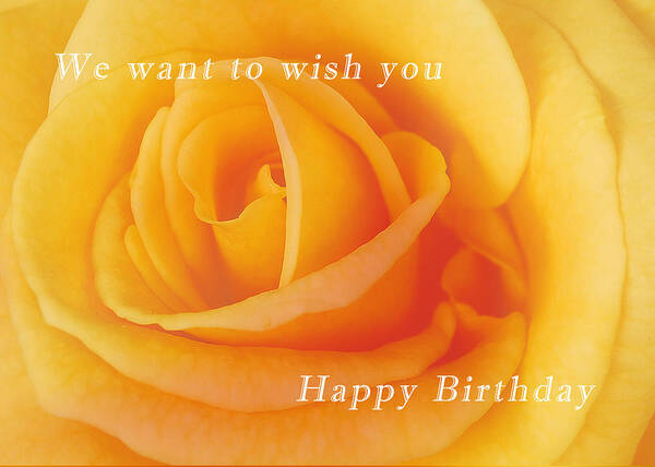 Happy Art Print featuring the photograph Yellow rose birthday card by Michael Peychich