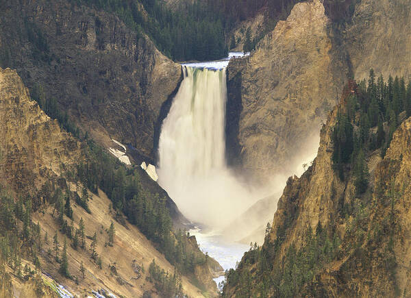 00173511 Art Print featuring the photograph Yellowstone Falls And Grand Canyon by Tim Fitzharris