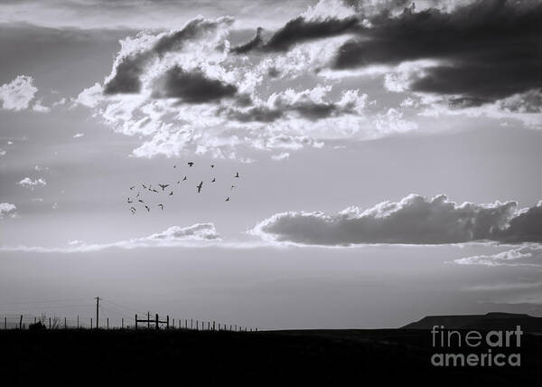 Mesa Art Print featuring the photograph A Quiet World #2 by Janice Pariza