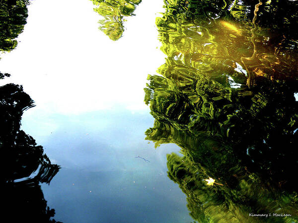 Above Art Print featuring the photograph Above the Water #1 by Kimmary MacLean