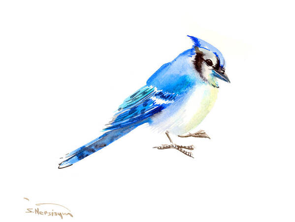 Blue Jay Art Print featuring the painting Blue Jay #1 by Suren Nersisyan