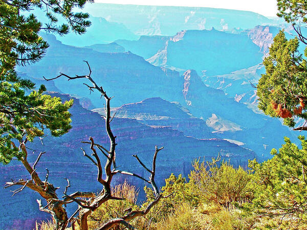 Canyon View Near Hermit's Rest In Grand Canyon National Park Art Print featuring the photograph Canyon View near Hermit's Rest in Grand Canyon National Park-Arizona #1 by Ruth Hager