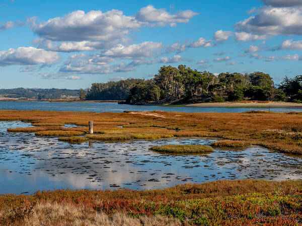 Elkhorn Slough Art Print featuring the photograph Elkhorn Slough #1 by Derek Dean