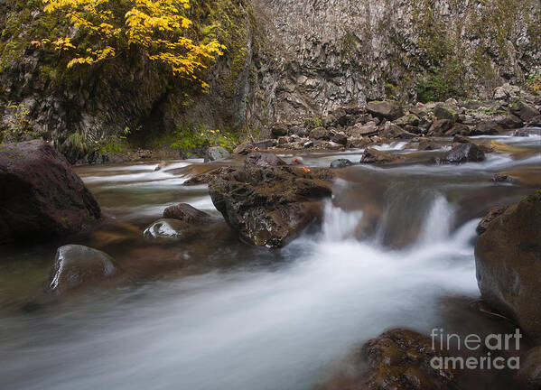 Fall Art Print featuring the photograph Fall Surge #1 by Michael Dawson