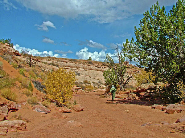 Hiking In Bucktank Draw Off Highway 89 North Art Print featuring the photograph Hiking in Bucktank Draw off Highway 89 North, Utah #1 by Ruth Hager