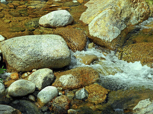 River Art Print featuring the digital art Life of the Riverbed V2 by Lynda Lehmann
