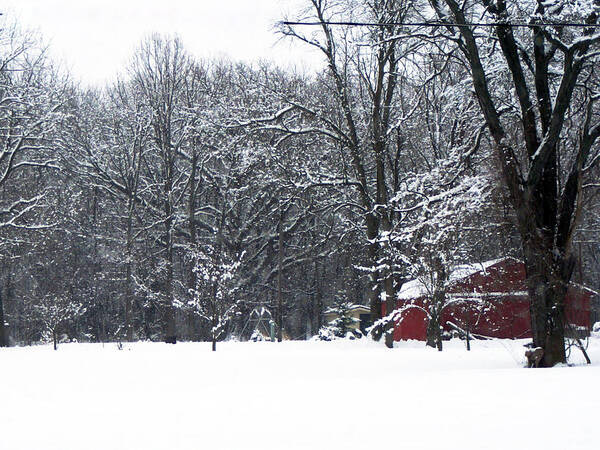 Snow Art Print featuring the photograph Red barn #1 by Cindy Yeakel