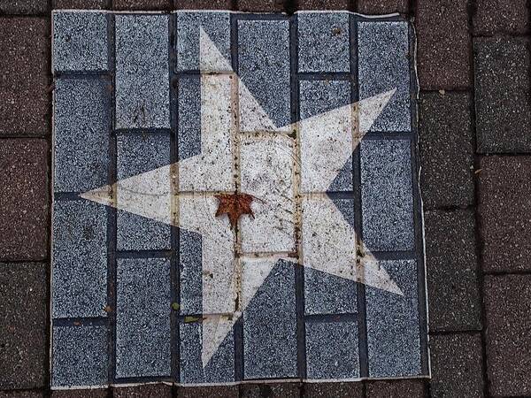 Star Art Print featuring the photograph Star of Texas #1 by Buck Buchanan