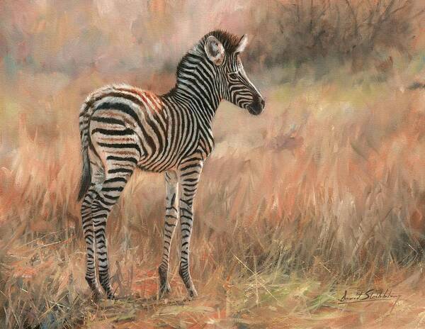 Zebra Art Print featuring the painting Zebra Foal #1 by David Stribbling
