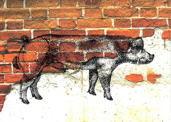 Danish Duroc Boar Art Print featuring the photograph Danish Duroc Boar #3 by Larry Campbell