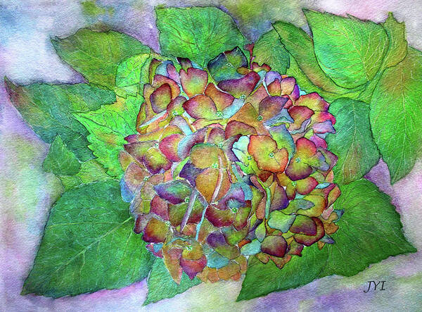 Hydrangea Art Print featuring the painting Dried Hydrangea by Janet Immordino