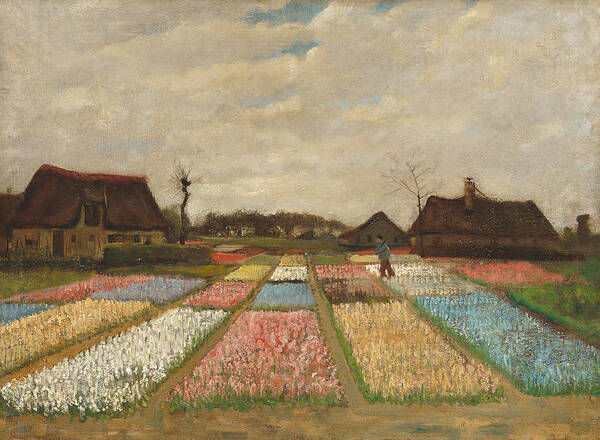 Tulip Art Print featuring the painting Flower Beds in Holland by Vincent Van Gogh