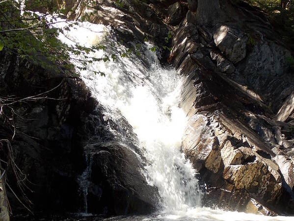 Poplar Stream Falls Art Print featuring the photograph Poplar Stream Falls #3 by Catherine Gagne