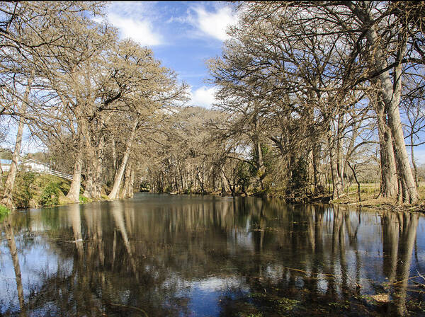 River Art Print featuring the photograph Rio Frio in winter #2 by Brian Kinney