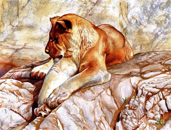 Lion Art Print featuring the painting #232 Sleeping Lioness #232 by William Lum